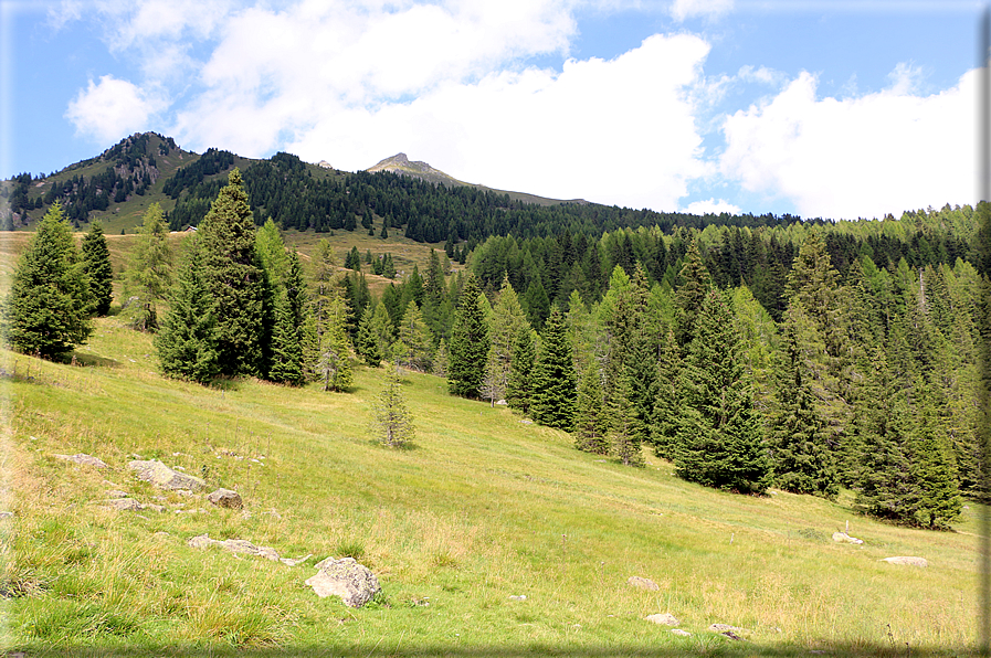 foto Valle del Montalon